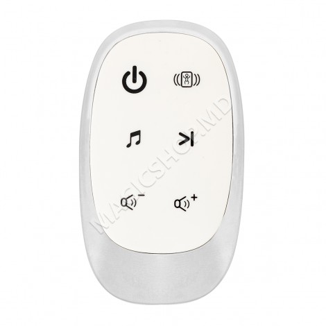 Balansoar electronic SPINNY Grey